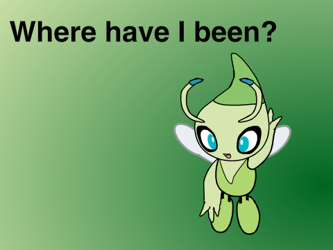 Where have I been?
