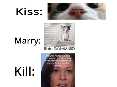 Playing kiss, marry, kill with my last saved pictures remix remix remix remix