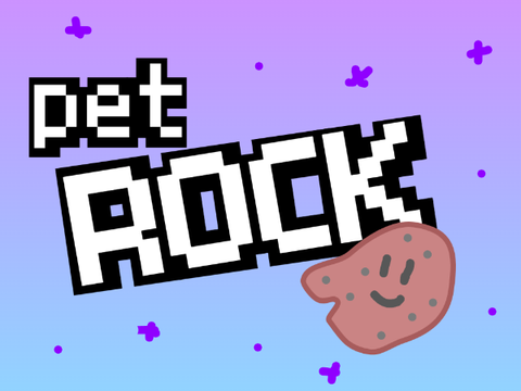 Pet rock