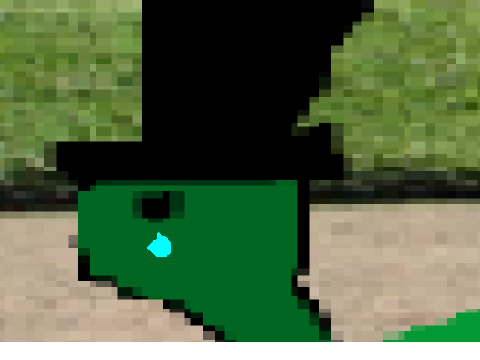 A Turtle