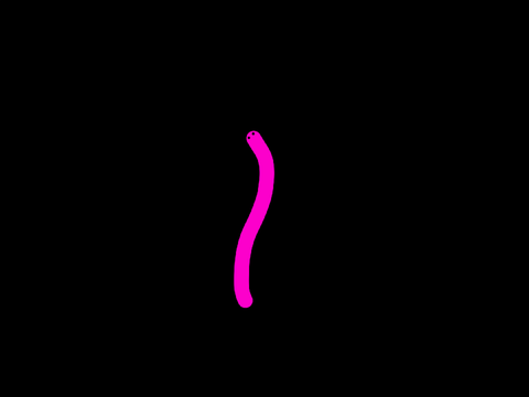 Snake animation 