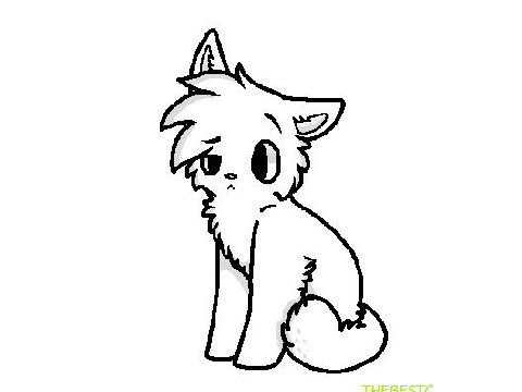Cat Animation!