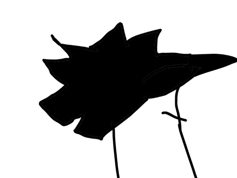 Animation Test 