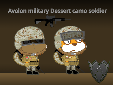Avalon military desert camo soldier