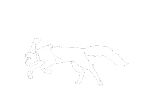 Run cycle #1