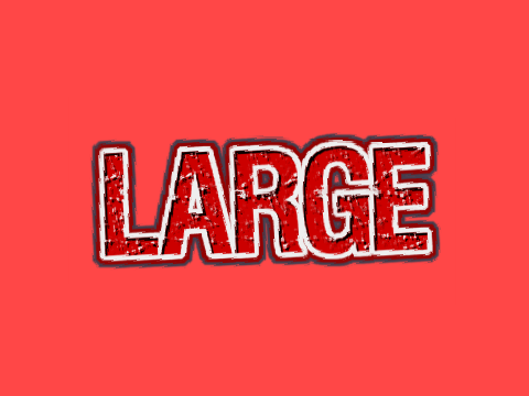 LARGE