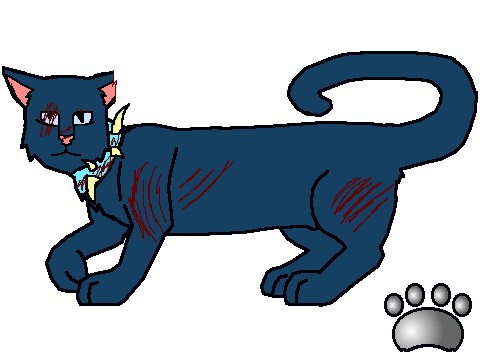 Scarstar 