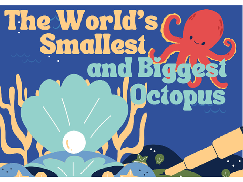 The World’s Smallest and Biggest Octopus
