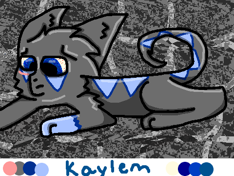 . : K a y l e m   R e f : . 