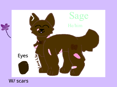 Sagies little nook