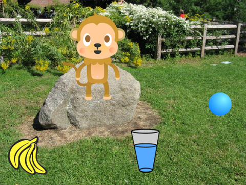 virtual pet