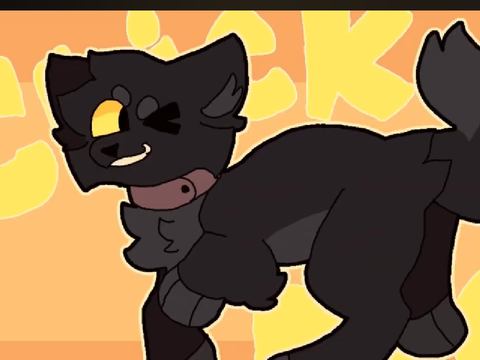 Cat?