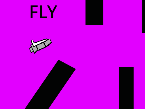 Fly