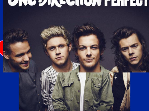 Perfect- One Direction remix