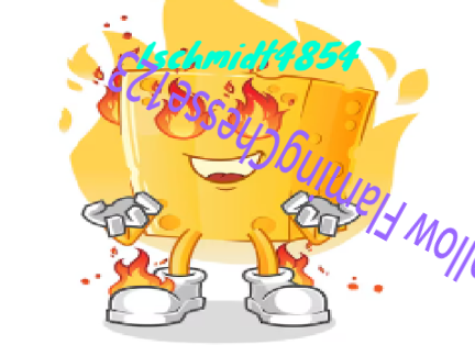 FlamingChesse123