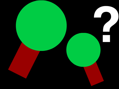 World generator (scroll xy)