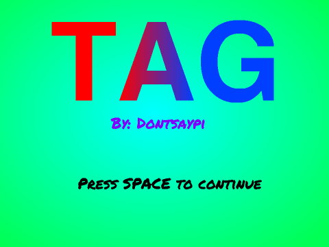 2-Player Tag V1.0