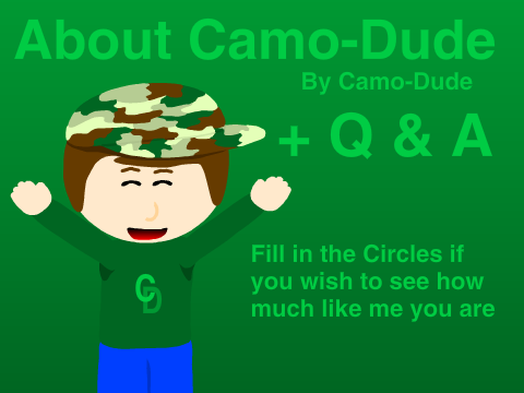 About Camo-Dude + Q&A remix