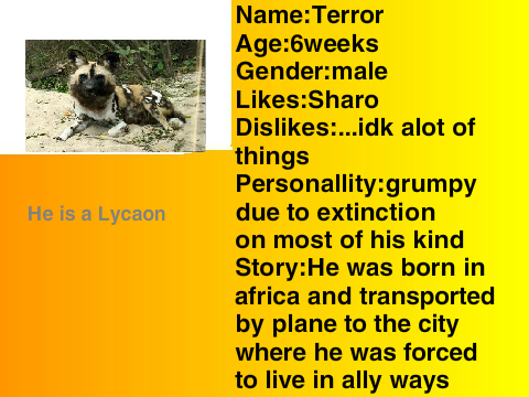 Terror 