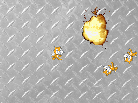 Exploding Cats