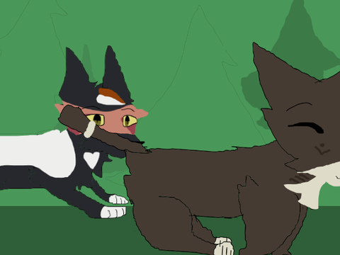 FASTER CAR | Anything Feline Outbreak MAP part 8