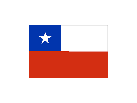 VIVA CHILE