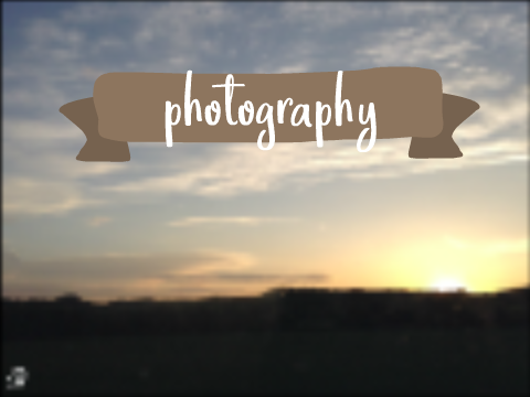 ➳ Photos 