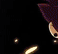Project thumbnail