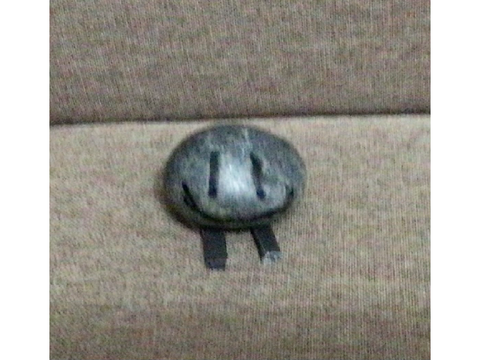 Pebble but in real life