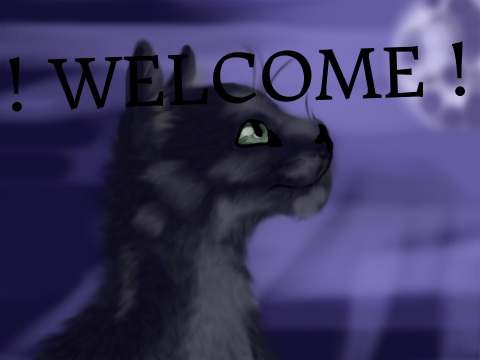 Welcome to my profile!