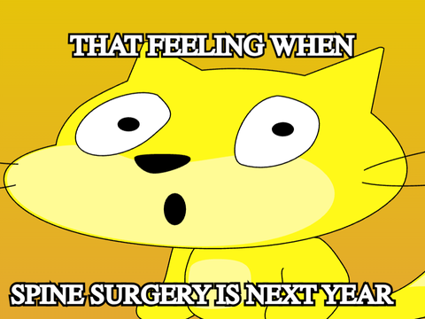 Spine surgery