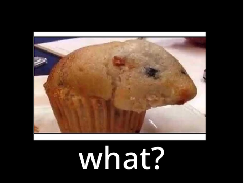 what?