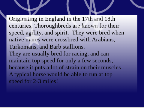 Horse Talk - Thoroughbreds