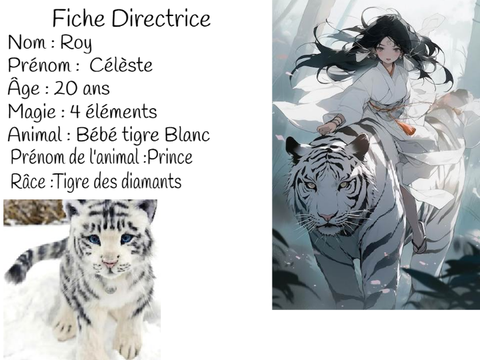 Fiche directrice