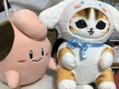 ぬいぐるみ二つをクレーンキャッチャーで1発(ずつ)で取った話