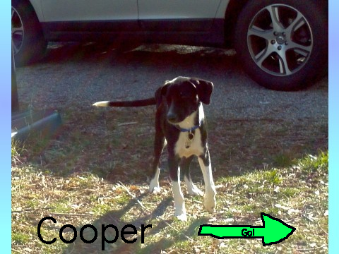 Cooper 