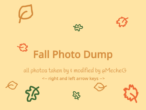 『 Fall Photos 』