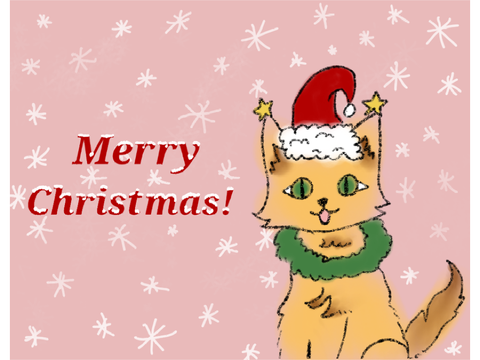 Merry Christmas ~