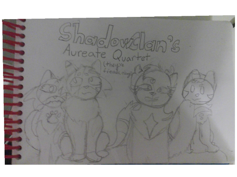 EA's ShadowClan Awesome & Cool Quartet