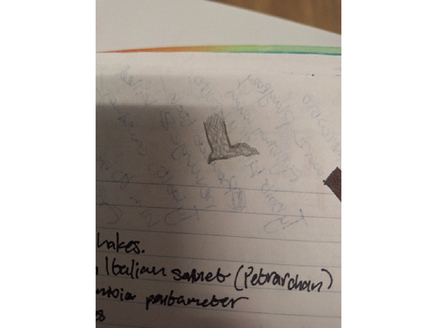 Tiiiiny little Art Dump- ft. some of my old English work