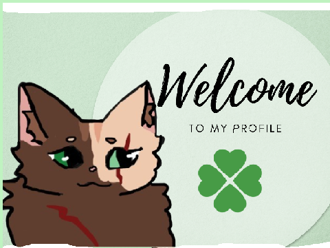 °Welcome°