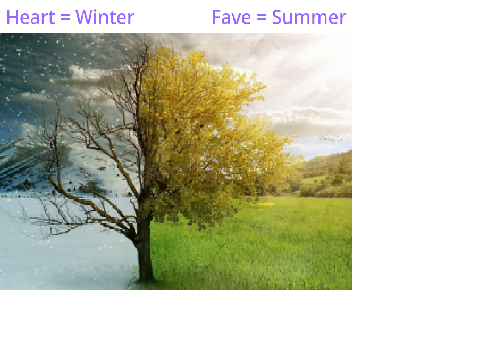Which season is better?