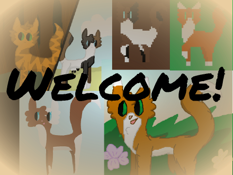 Welcome to Snowday633's Profile!
