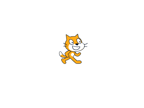 hello cat
