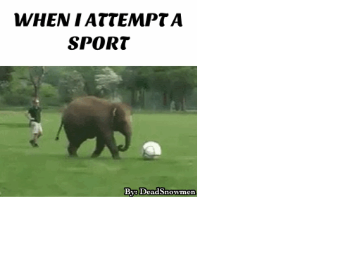 lol