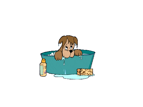 When Dogs Take Baths...