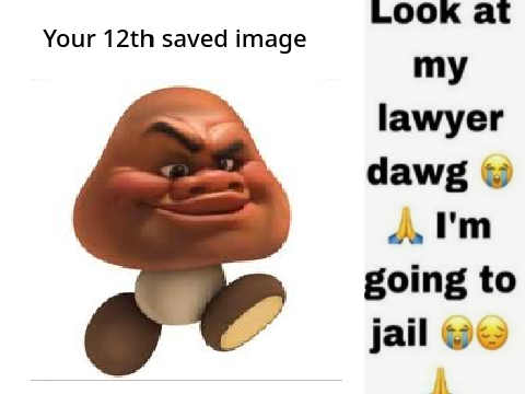 Your 12th saved image is ur lawyer  remix remix