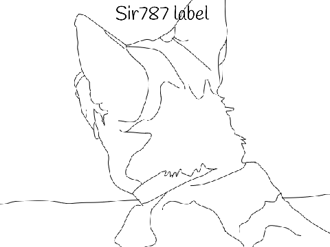 A drawing [TO BE EDITED]