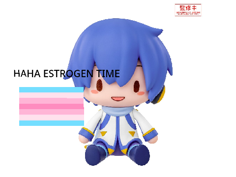 kaito estrogen