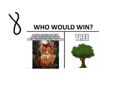 >Warrior cat memes< Part !